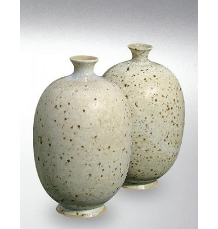 Terra Powder Glaze 8200/600 (Terra Порошковая глазурь  8200/600) 