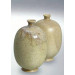 Terra Powder Glaze 8204/604 (Terra Порошковая глазурь  8204/604)