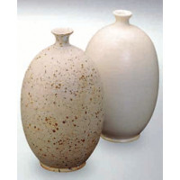 Terra Powder Glaze 8208/608 (Terra Порошковая глазурь  8208/608) 