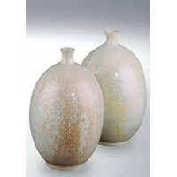 Terra Powder Glaze 8229/629 (Terra  Порошковая глазурь  8229/629)