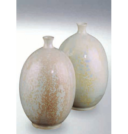 Terra Powder Glaze 8229/629 (Terra  Порошковая глазурь  8229/629)