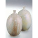 Terra Powder Glaze 8229/629 (Terra  Порошковая глазурь  8229/629)