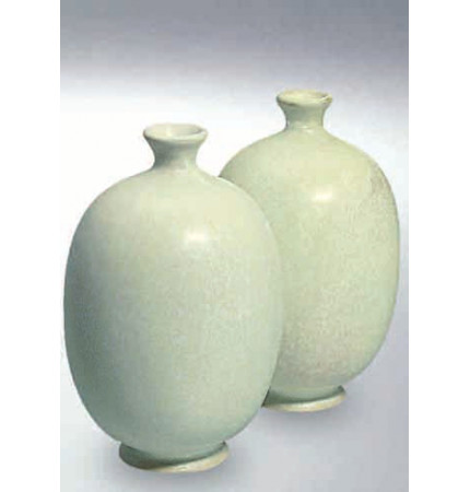 Terra Powder Glaze 8267/667 (Terra Порошковая глазурь  8267/667)