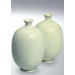 Terra Powder Glaze 8267/667 (Terra Порошковая глазурь  8267/667)