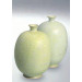 Terra Powder Glaze 9614/6614 (Terra Порошковая глазурь 9614/6614)